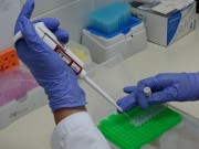Preparation of PCR mix