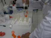 Determination of total phenols